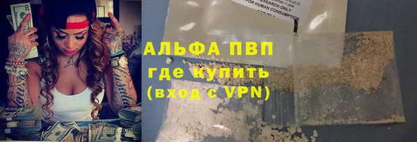 твердый Богданович