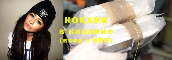 твердый Богданович