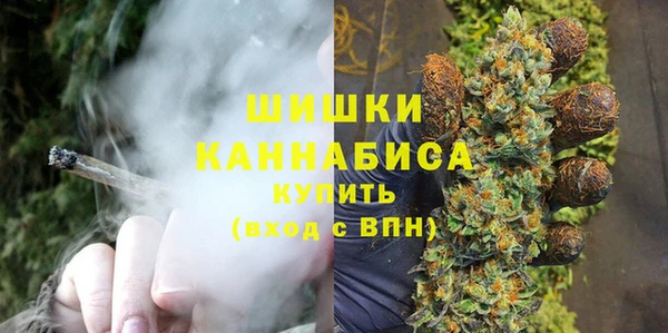 твердый Богданович