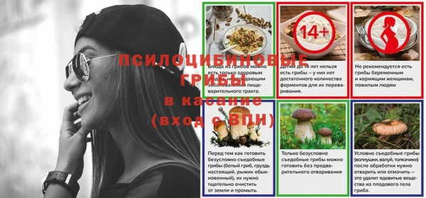 мескалин Богородицк