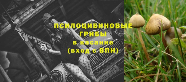 спайс Богородск