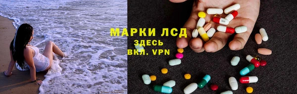 стаф Нефтегорск
