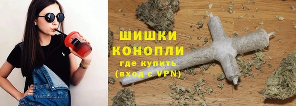 твердый Богданович