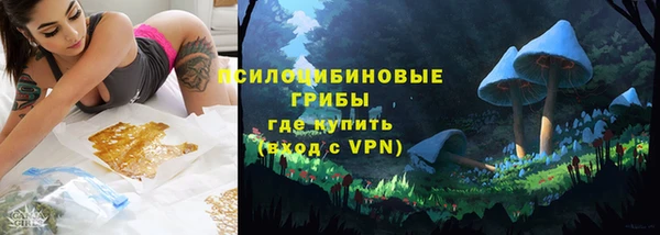 твердый Богданович